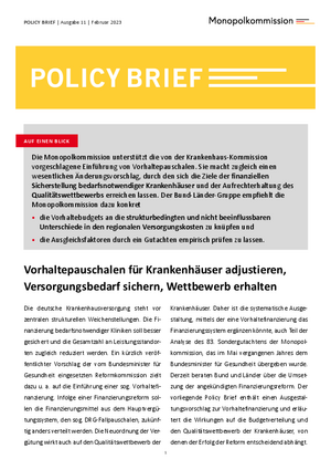 Policy Brief 11
