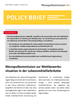 Policy Brief 13
