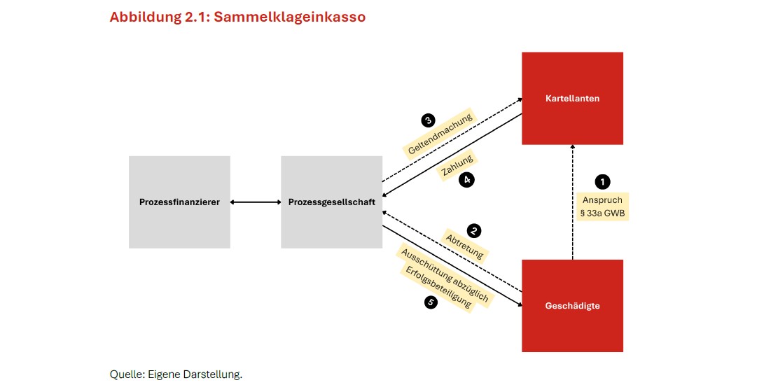 Diese Grafik verdeutlicht die Dreiecksbeziehung zwischen Geschädigte, Kartellanten und Prozessgesellschaft. Dazu steht die Prozessgesellschaft auch mit Prozessfinanzierern in Verbindung. Kachel Vorschau